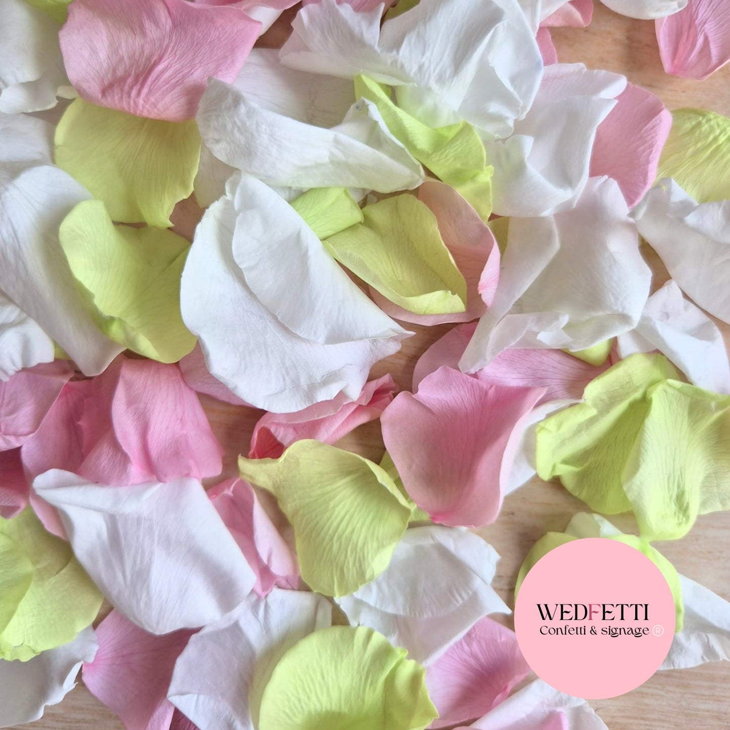 Rose Petals - Rose Pink Lime White
