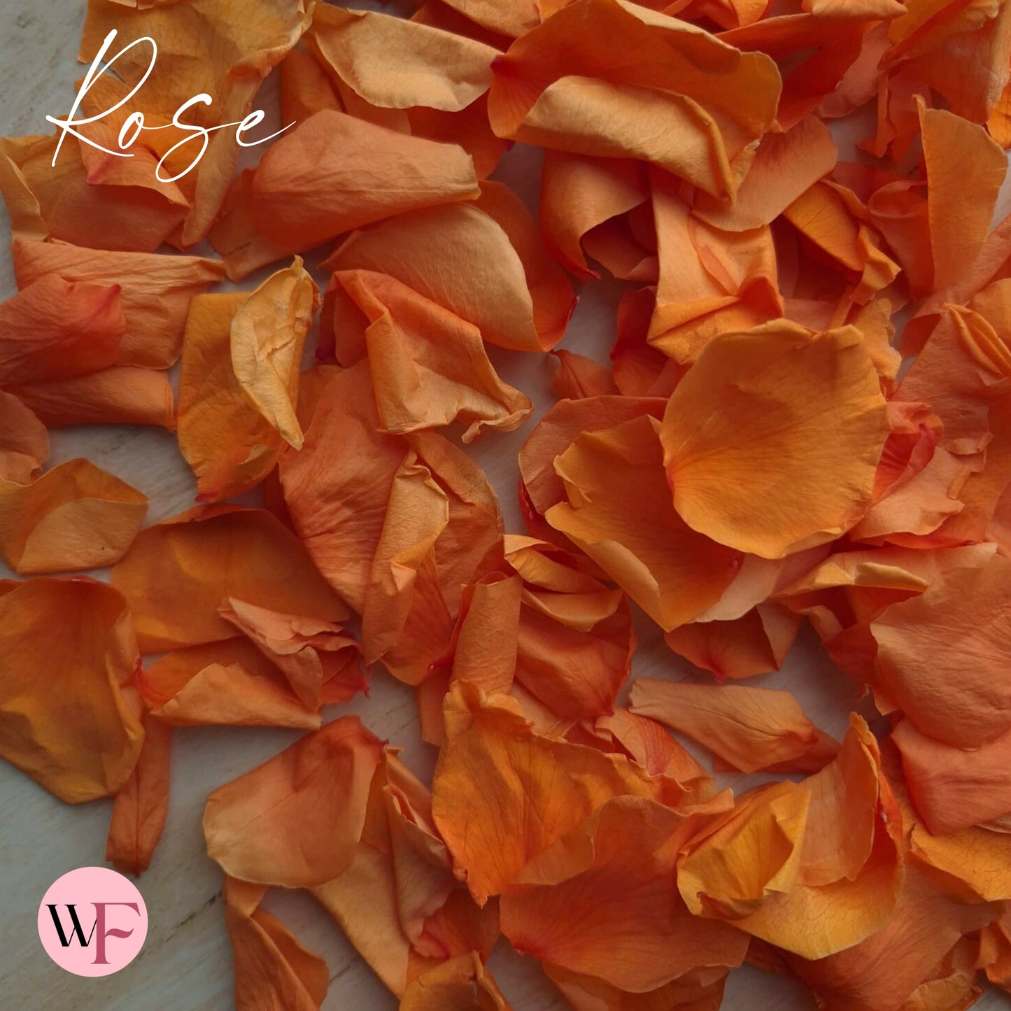 Rose Petals - Burnt Orange