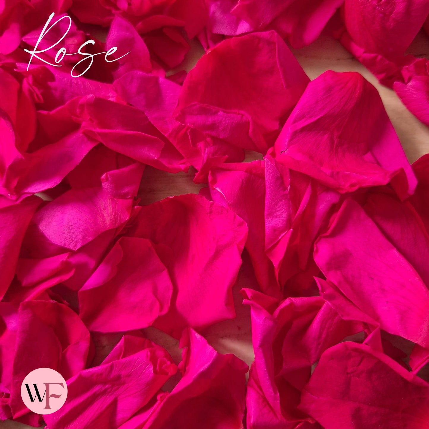 Rose Petals - Fuschia Pink