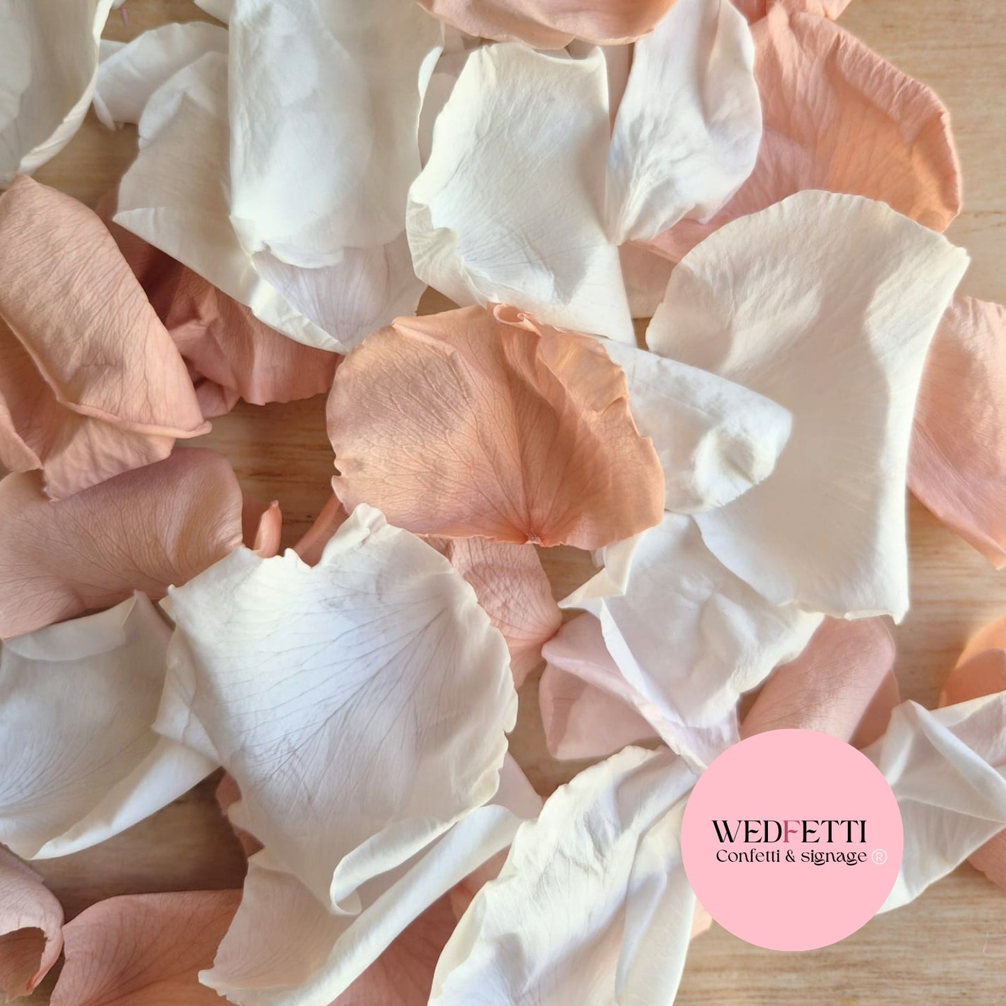 Rose Petals - White Champagne