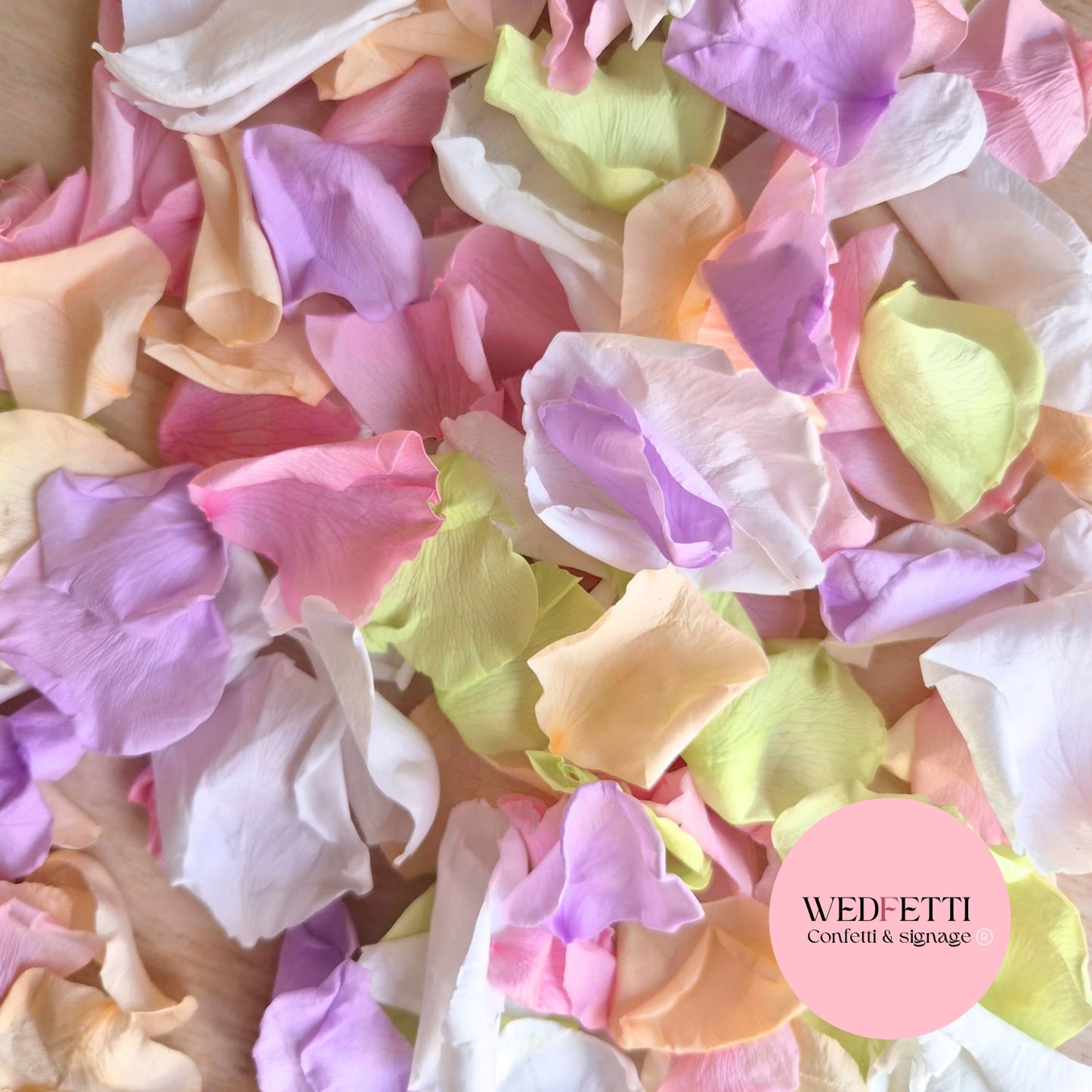 Rose Petals - Soft Pastel White