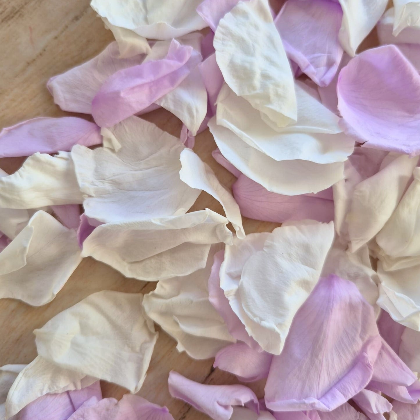 Rose Petals - White Lavender