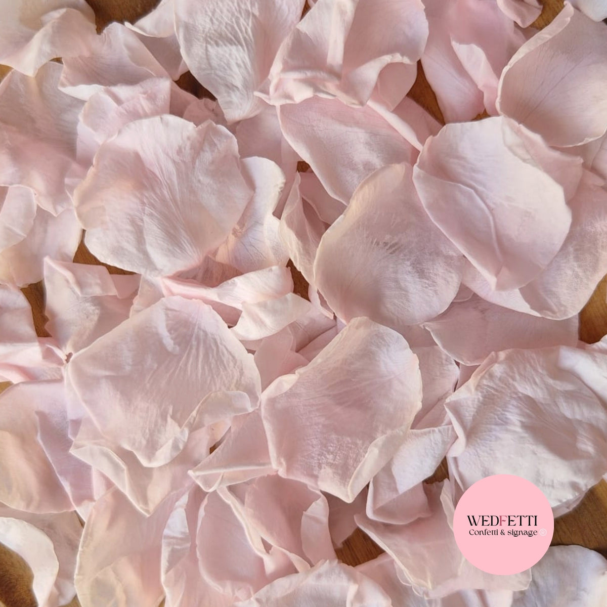 Rose Petals - Light Pink