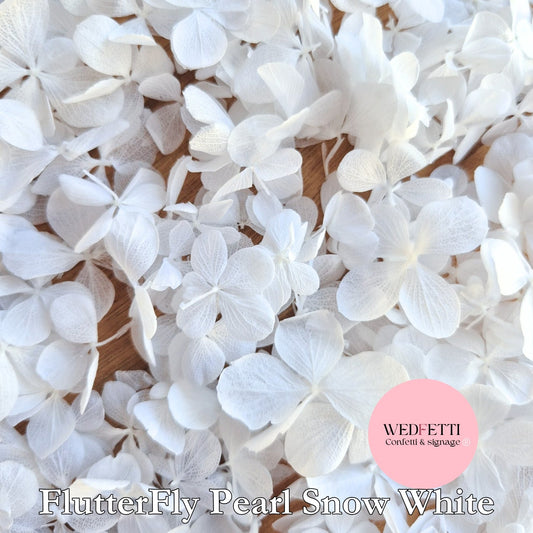 Preserved Petal Confetti Guide for Weddings