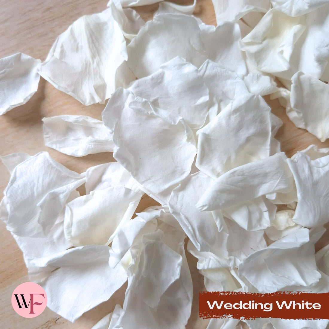 Preserved white rose petals 