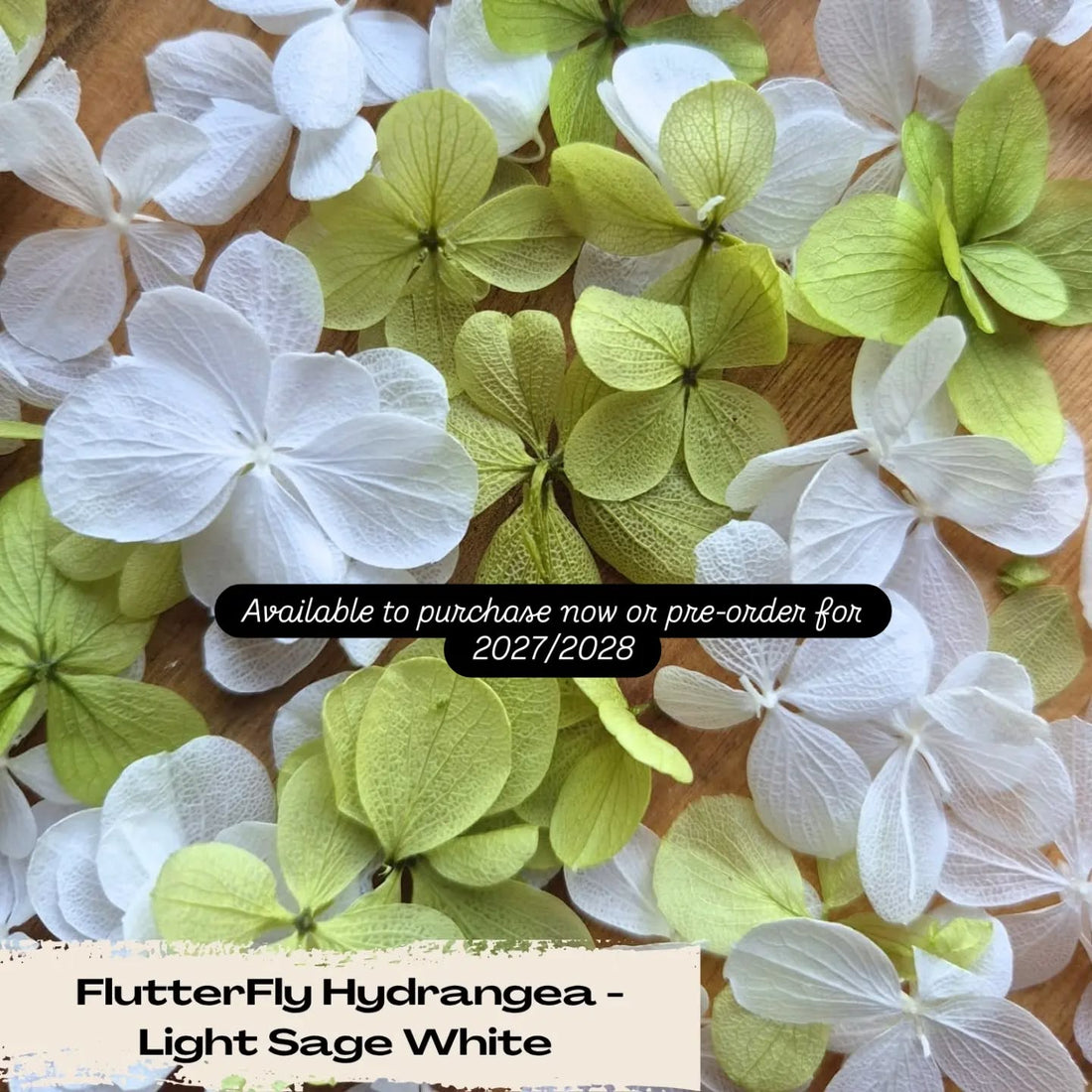 Eco Friendly Wedding Confetti Trends for 2026