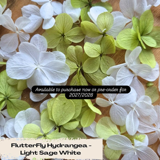 Eco Friendly Wedding Confetti Trends for 2026