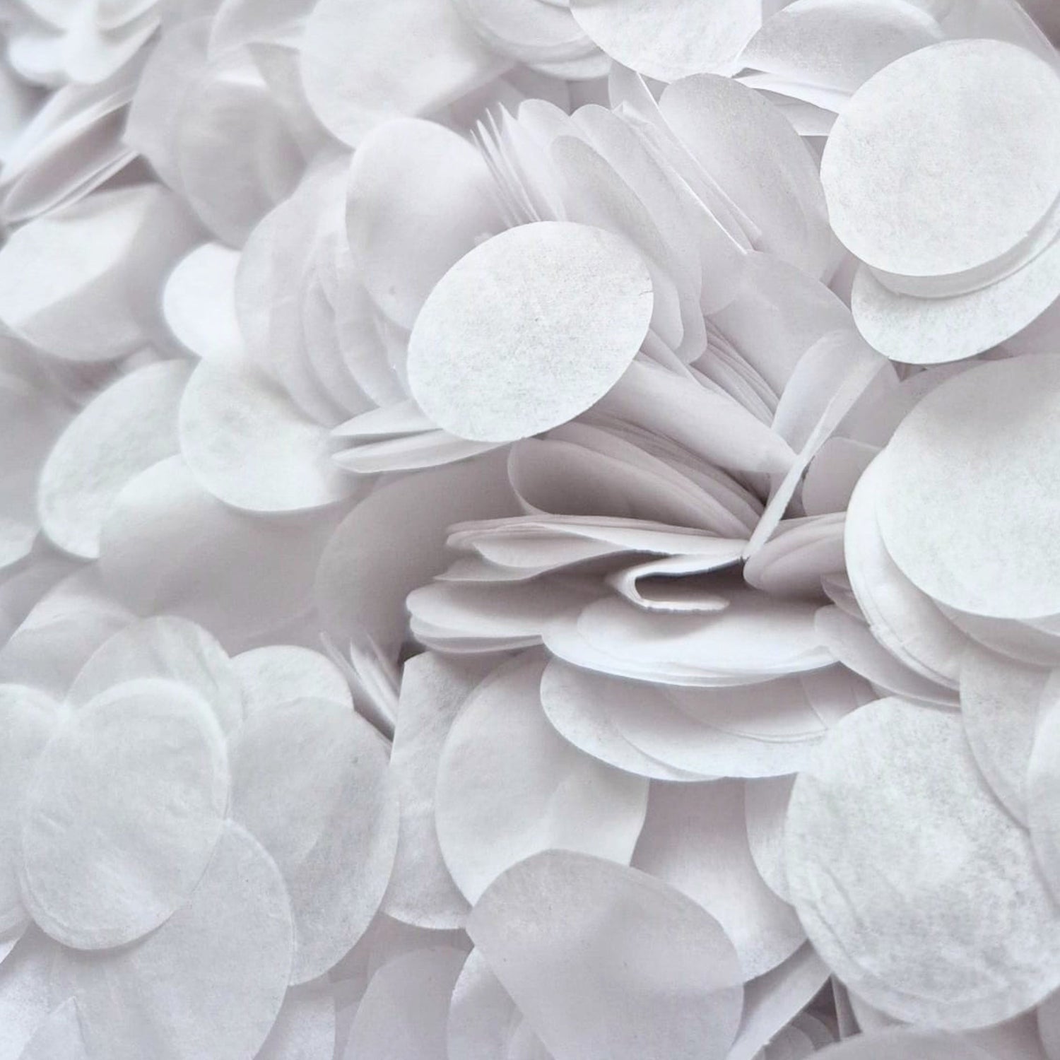 Circles 2.5cm Large Biodegradable Confetti