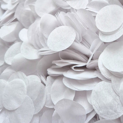 Circles 2.5cm Large Biodegradable Confetti