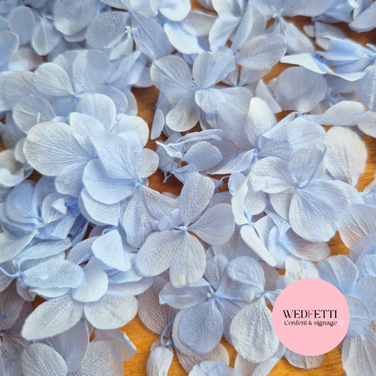 FlutterFly® Petal Confetti | SAMPLE + FREE DELIVERY