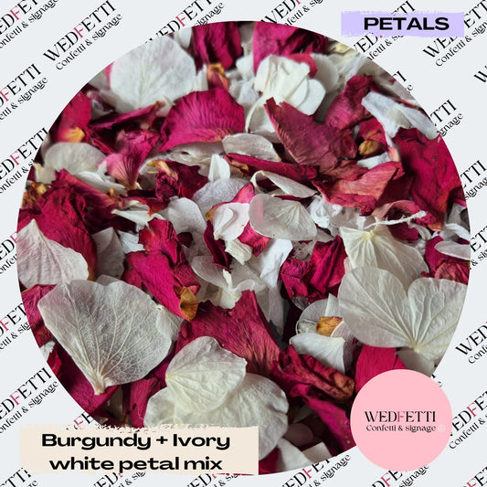 Burgundy Rose petal + Ivory white Petal mix