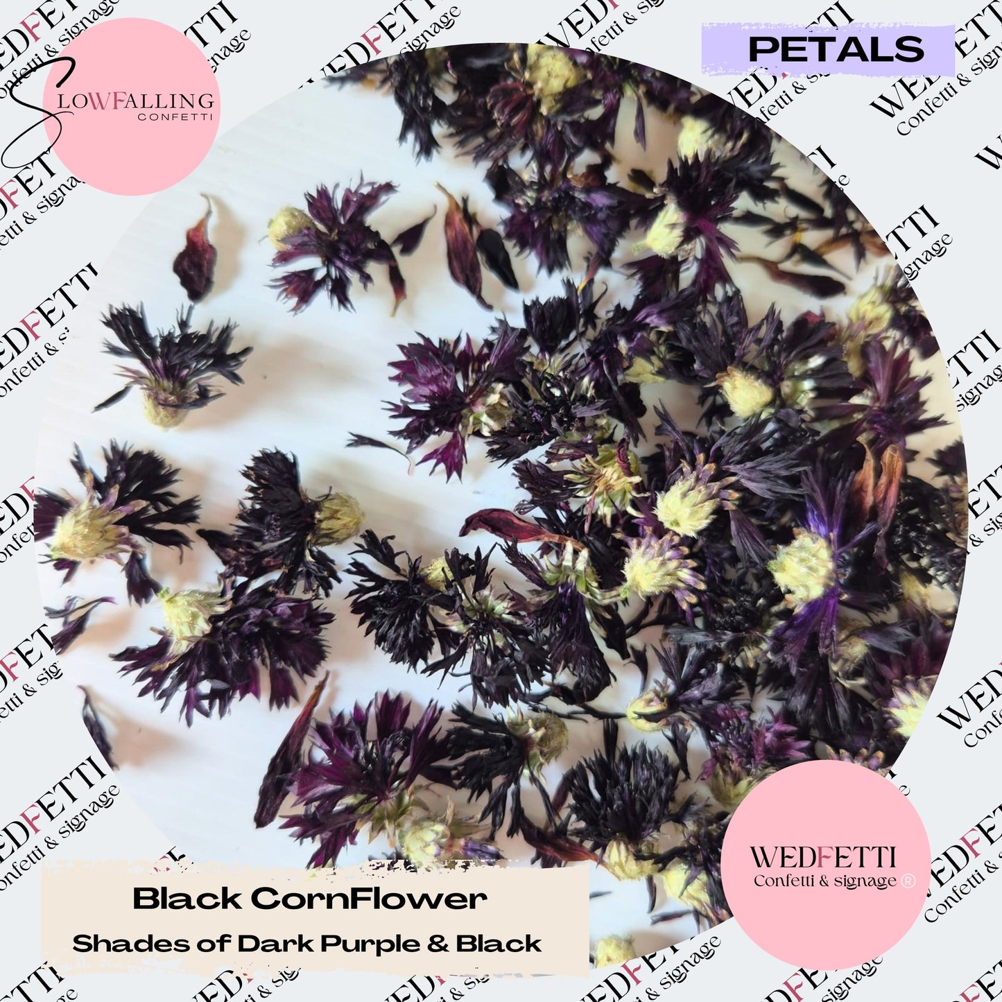 Black CornFlower Confetti Buds
