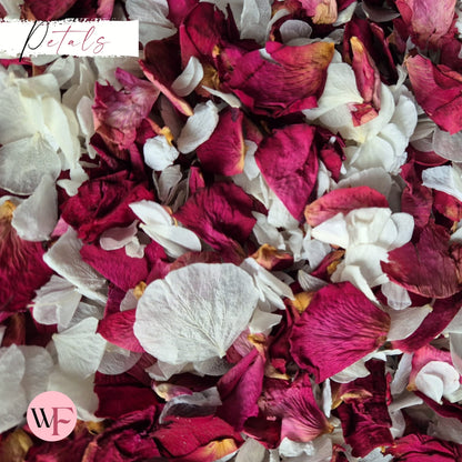 Burgundy Rose petal + Ivory white Petal mix