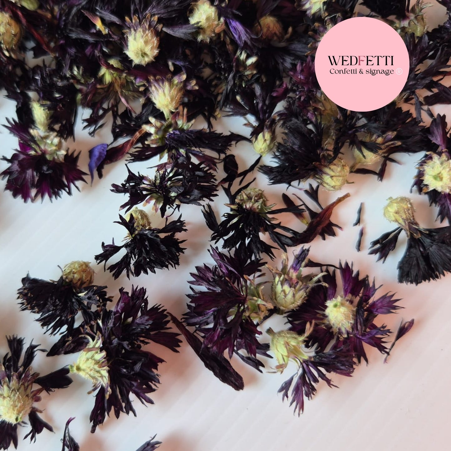 Black CornFlower Confetti Buds