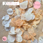 Petal Confetti hydrangea - White Peach