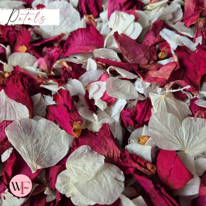 Burgundy Rose petal + Ivory white Petal mix
