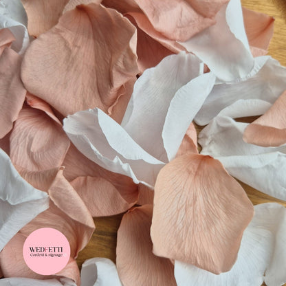 Rose Petals - Blush Champagne White