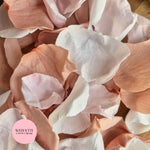 Rose Petals - Blush Champagne White Pink