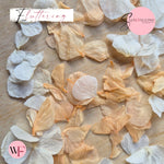 Petal Confetti hydrangea - White Peach