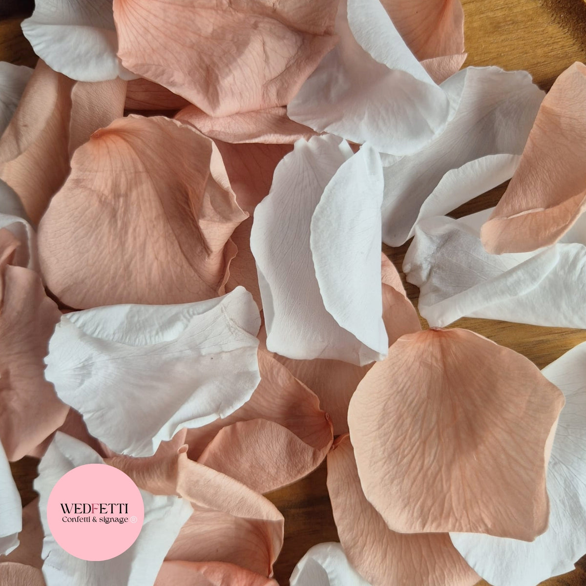 Rose Petals - Blush Champagne White