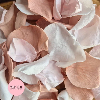 Rose Petals - Blush Champagne White Pink