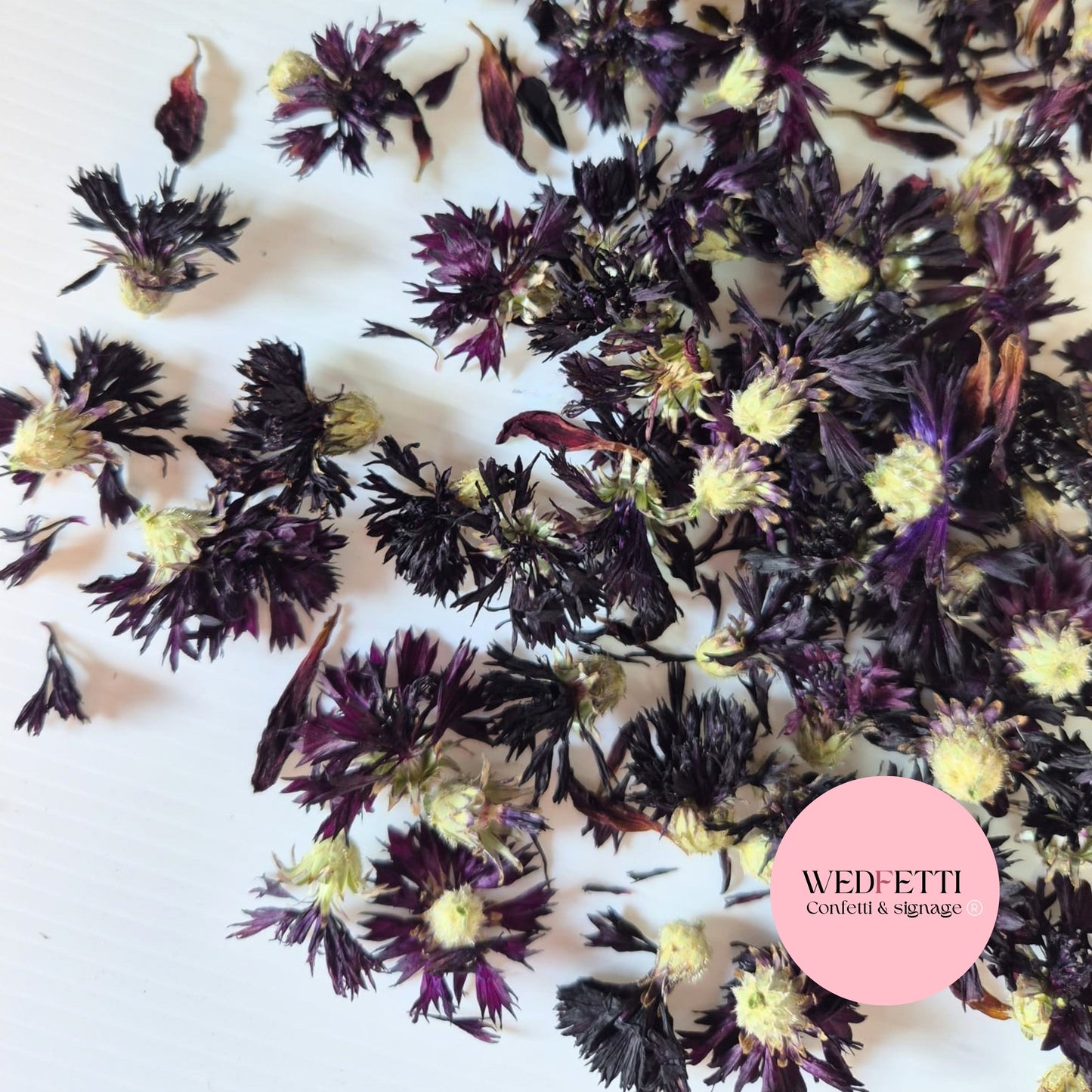 Black CornFlower Confetti Buds