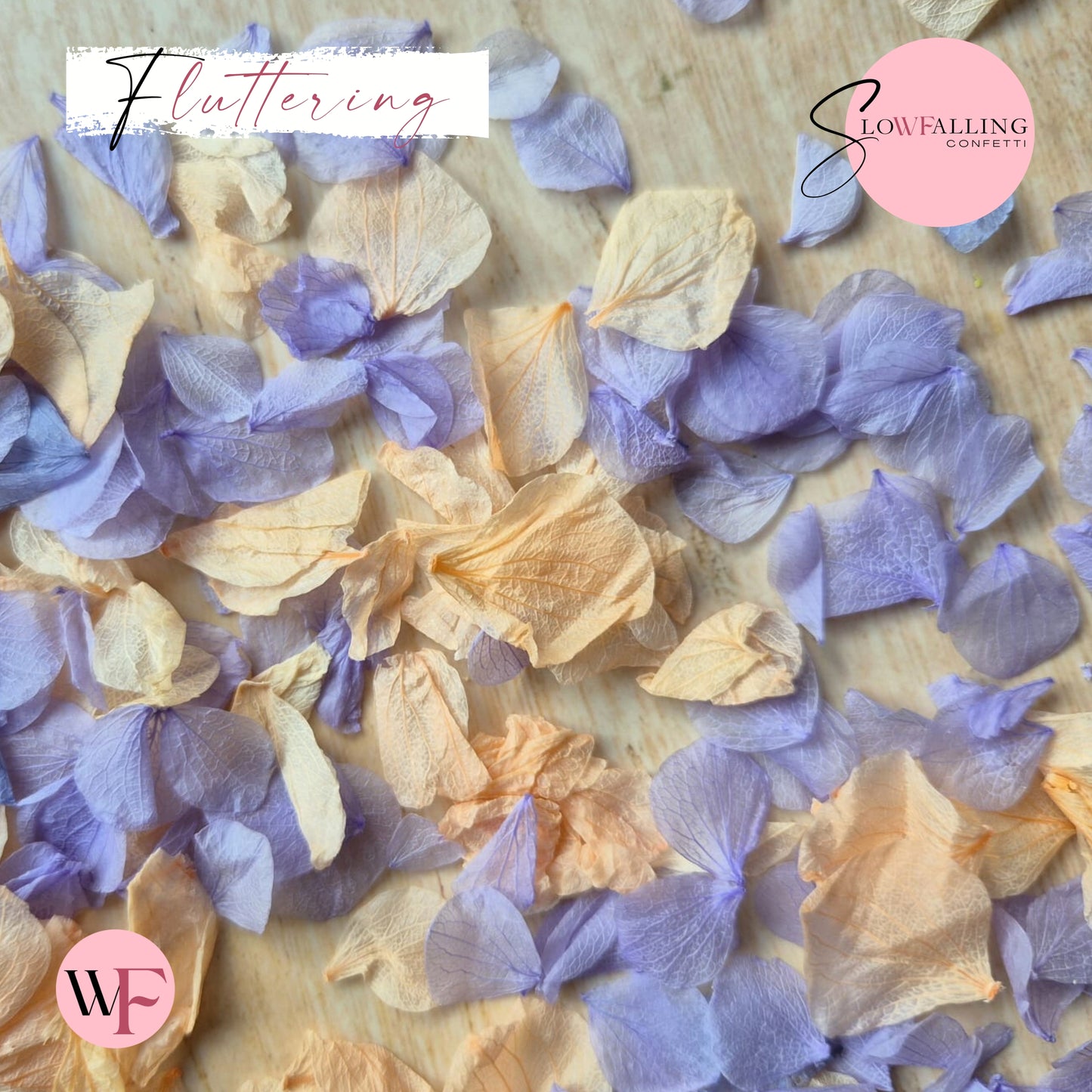 Petal Confetti hydrangea - Soft Purple Peach
