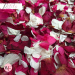 Burgundy Rose petal + Ivory white Fuschia Petal mix