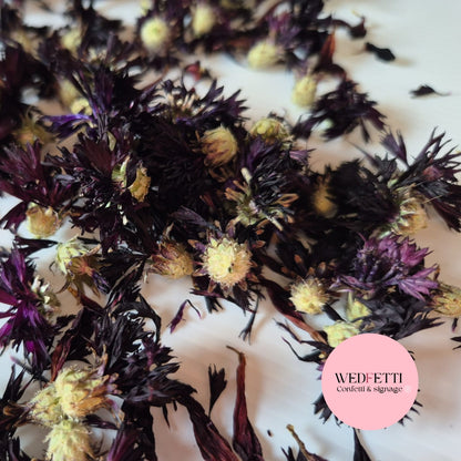 Black CornFlower Confetti Buds