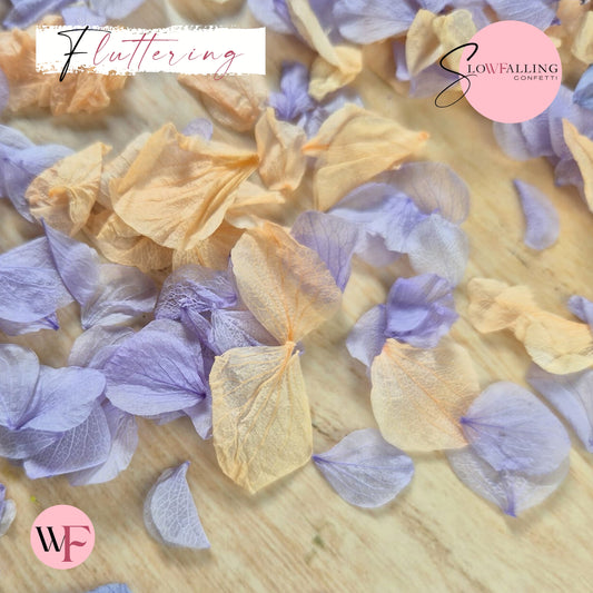 Petal Confetti hydrangea - Soft Purple Peach