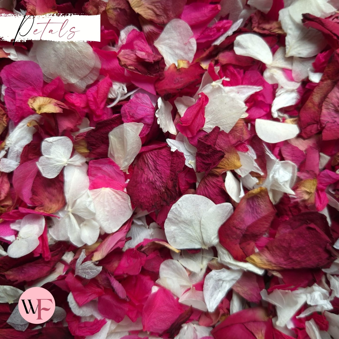 Burgundy Rose petal + Ivory white Fuschia Petal mix