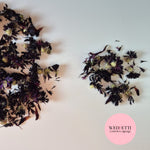 Black CornFlower Confetti Buds