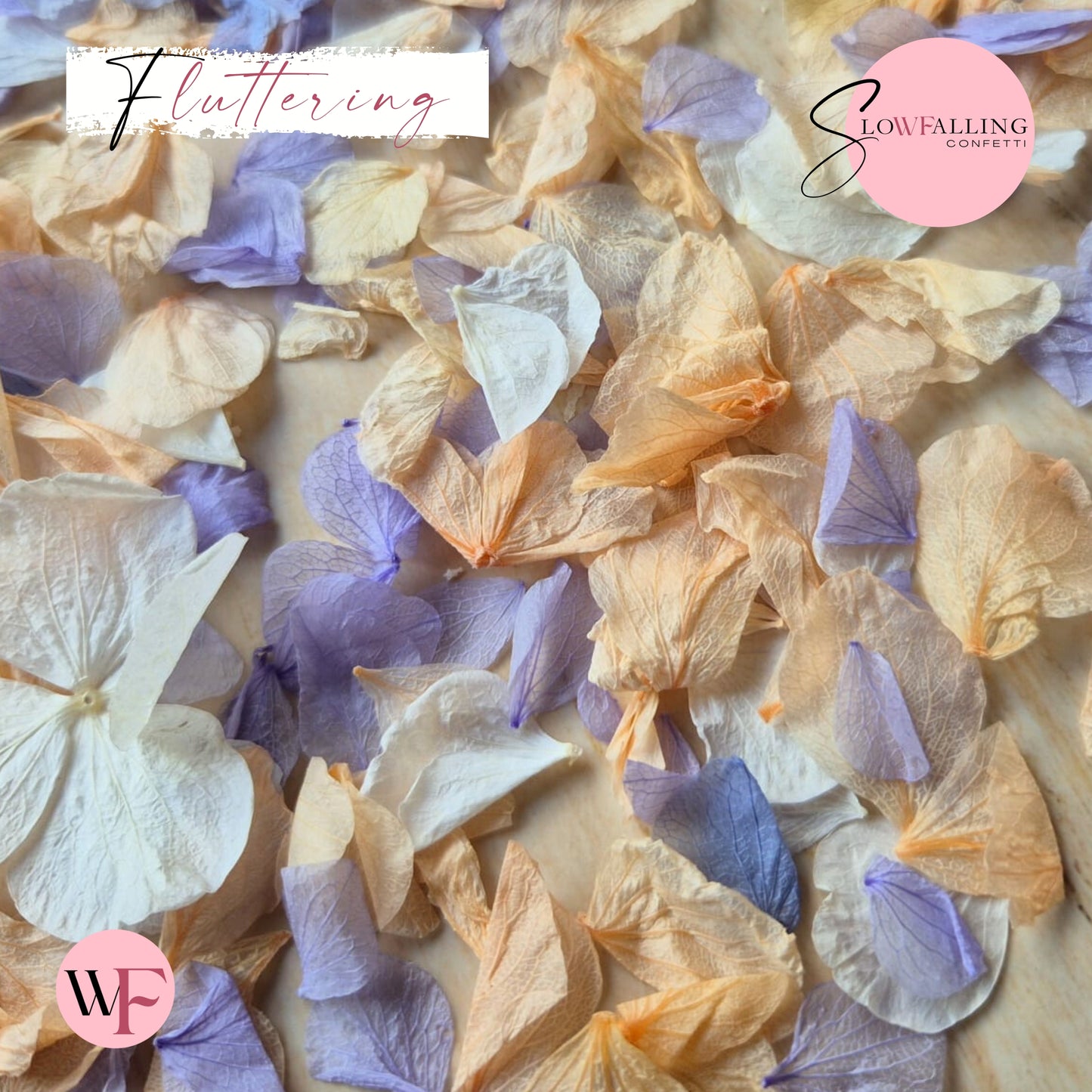 Petal Confetti hydrangea - Soft Purple Peach White