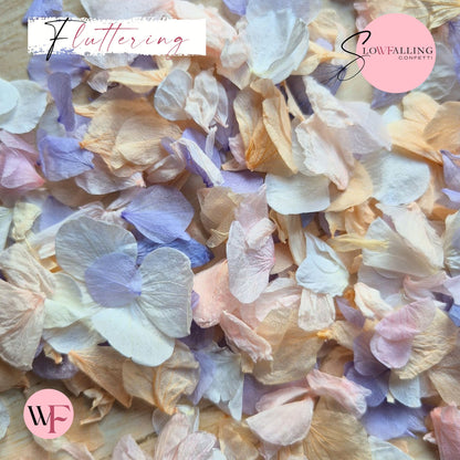 Petal Confetti hydrangea - Soft Pastel peach mix
