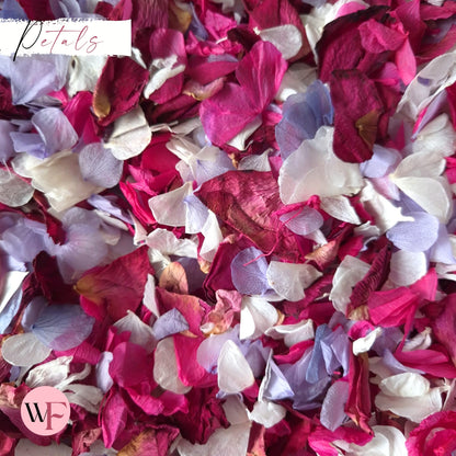 Burgundy Rose petal + Ivory white Fuschia Purple Petal mix