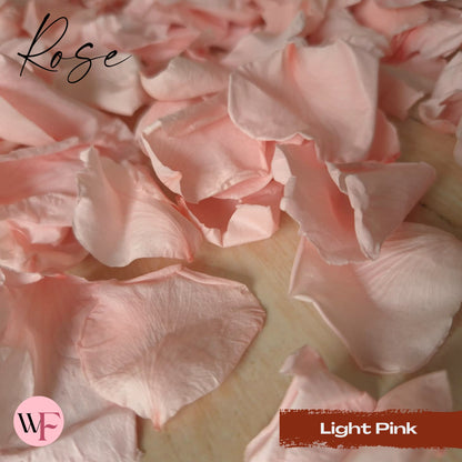 Rose Petals - Light Pink