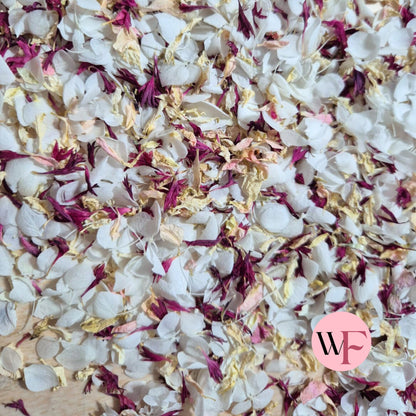 Natural Cornflower Delphinium & Snow Petal® mix