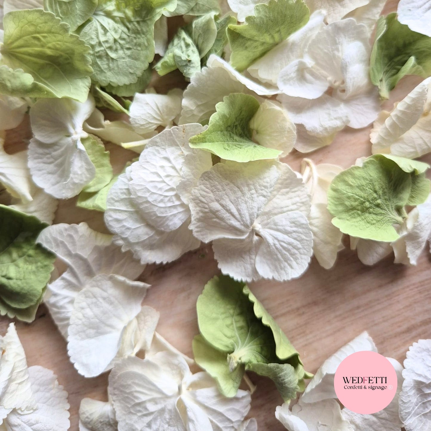 SLOW FALLING PETALS Sage + ivory white hydrangea petal premium mix