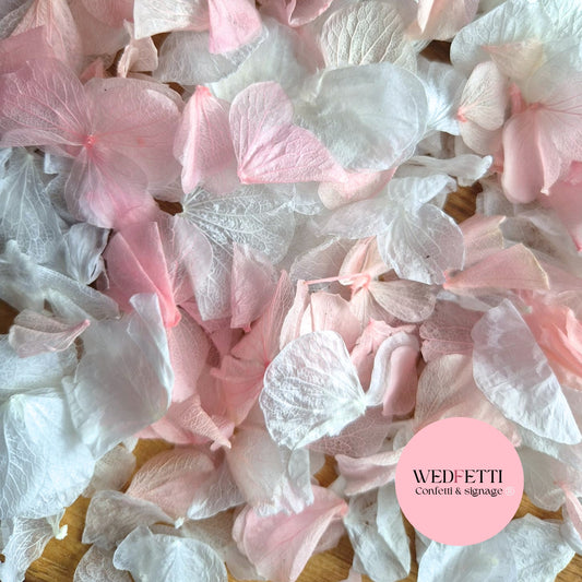 Petal Confetti hydrangea - Pink White