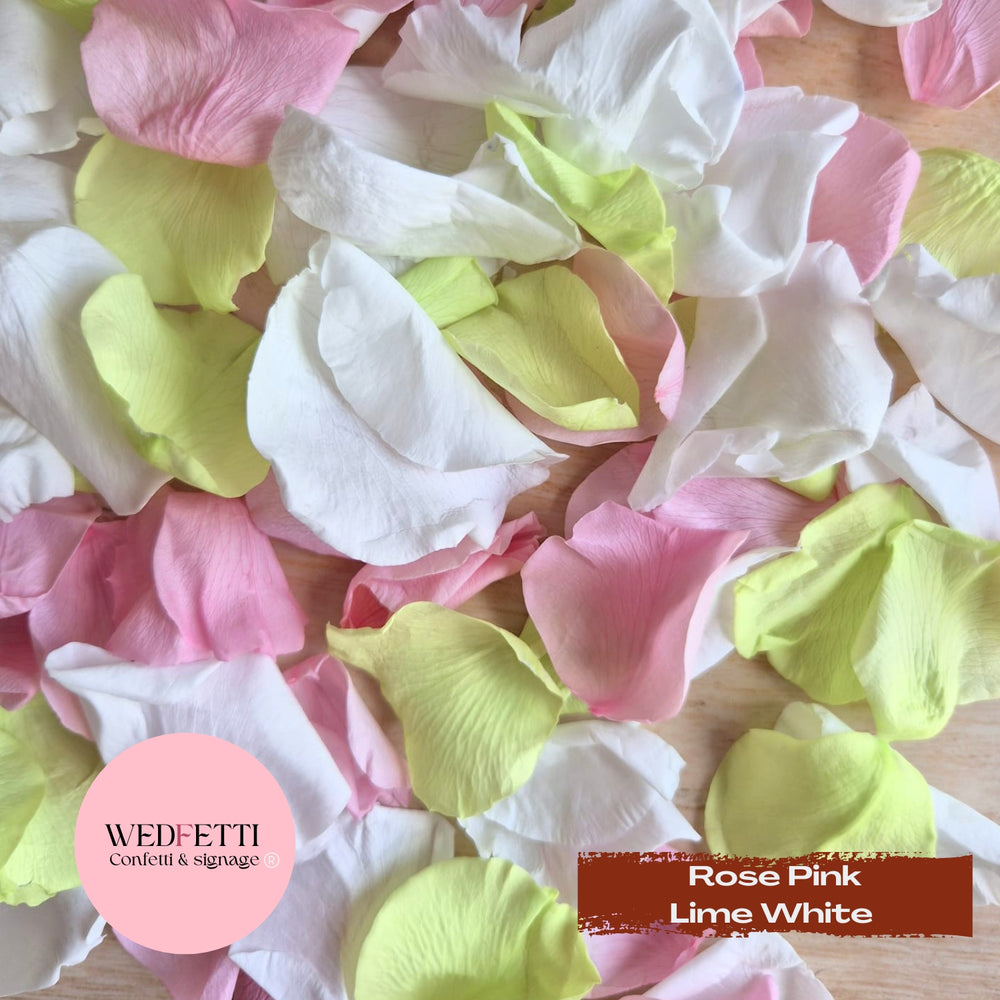 Rose Petals - Rose Pink Lime White