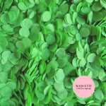 Slow falling paper Confetti - Apple Green