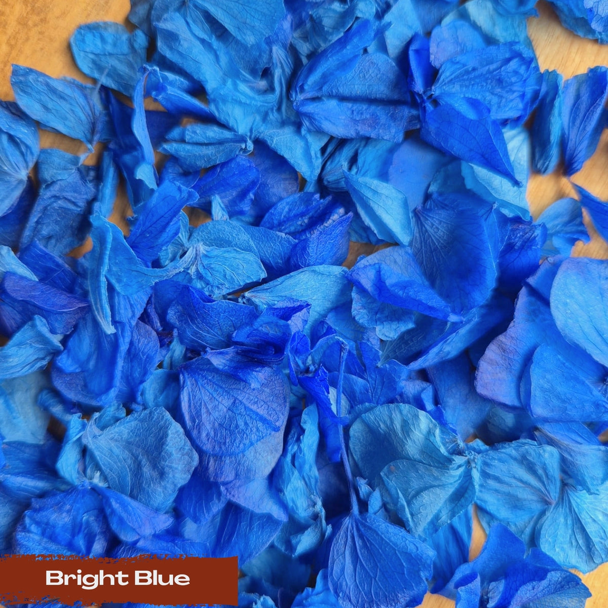 Create your own custom Hydrangea Petal Confetti mix