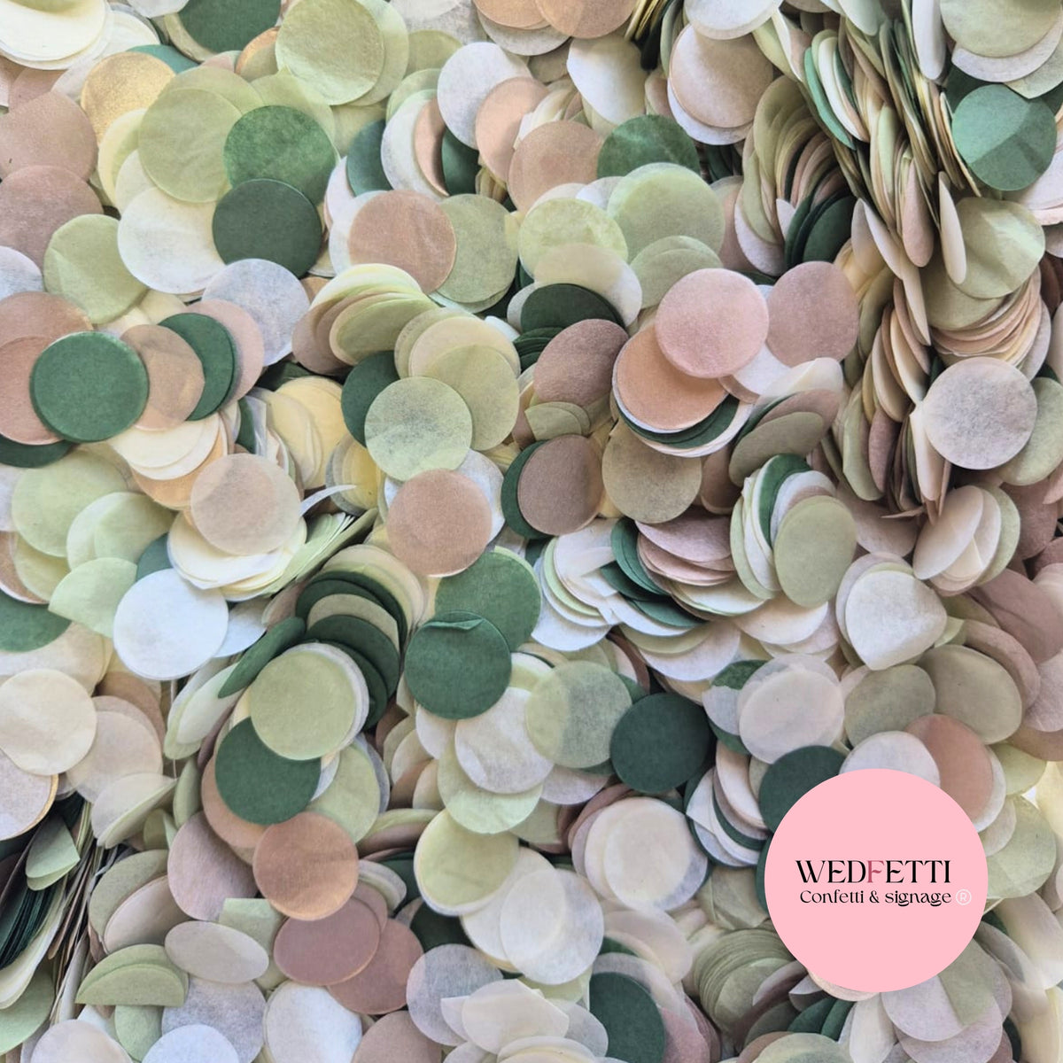 Circles Large 2.5cm Biodegradable - Light Rose Gold Light Ivory Light Sage Forest