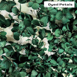 Green hydrangea petals (Dyed)