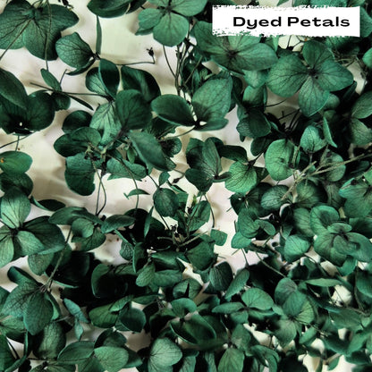 Green hydrangea petals (Dyed)