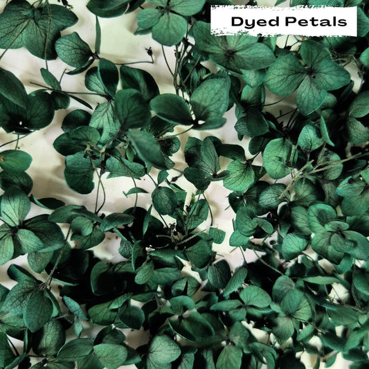 Green hydrangea petals (Dyed)