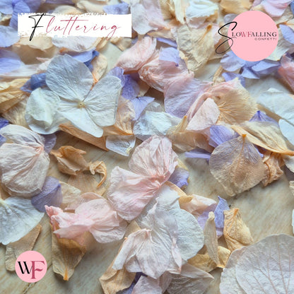 Petal Confetti hydrangea - Soft Pastel peach mix