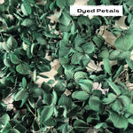 Green hydrangea petals (Dyed)