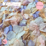 Petal Confetti hydrangea - Soft Pastel peach mix