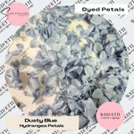 Dusty Blue hydrangea petals